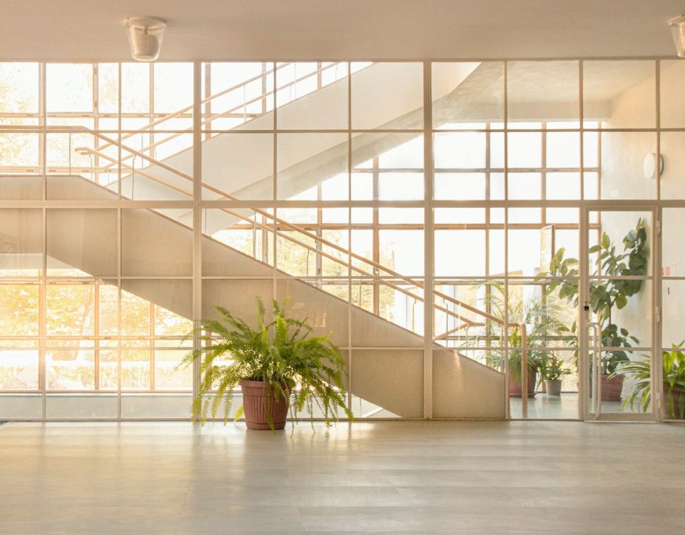green potted plant on brown wooden floor
